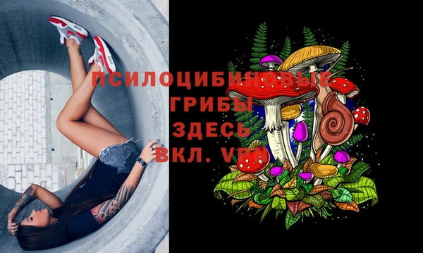 мет Заводоуковск