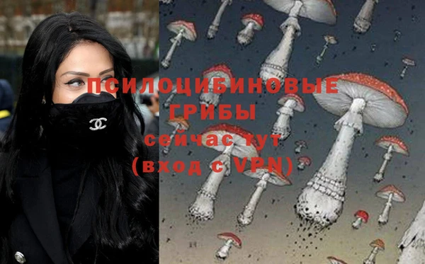 мет Заводоуковск