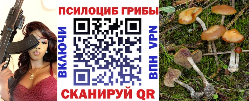 Купить закладки  Камешково  Галлюциногенные грибы ЛСД 